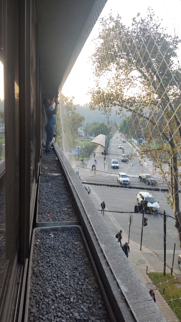 Trabajo realizado 15